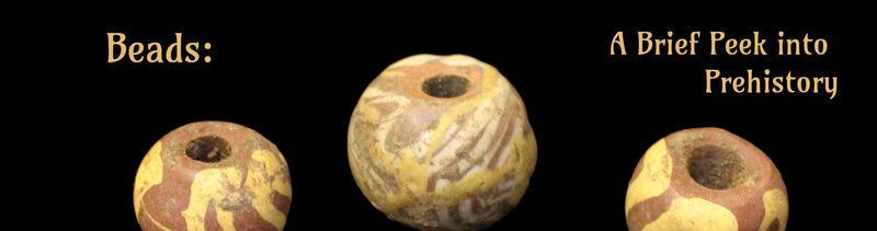 PrehistoryBlogBanner_800x.jpg?